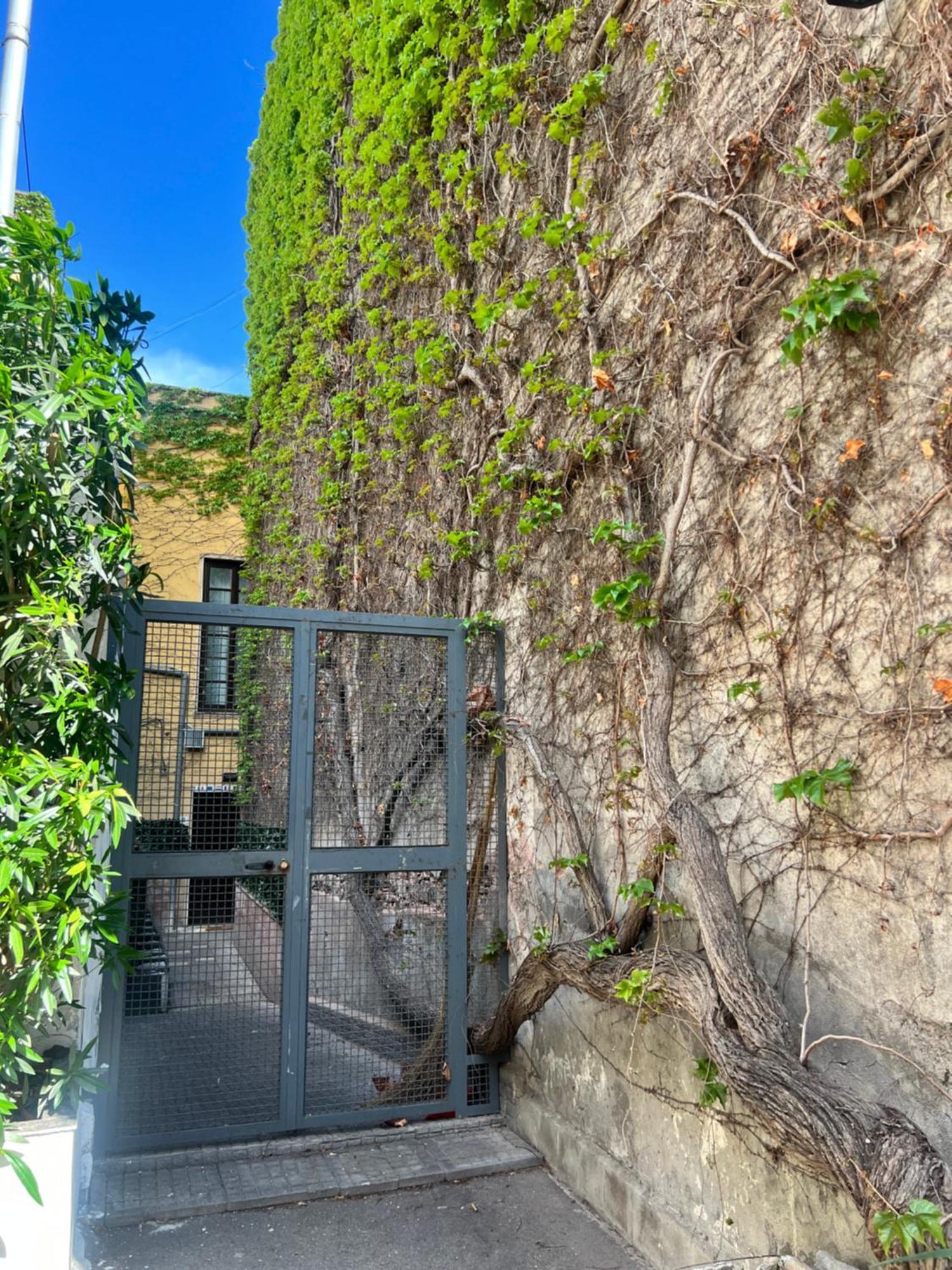 Etnea Palace Catania Luaran gambar